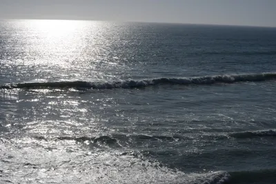 DSC_7002 (Large).JPG